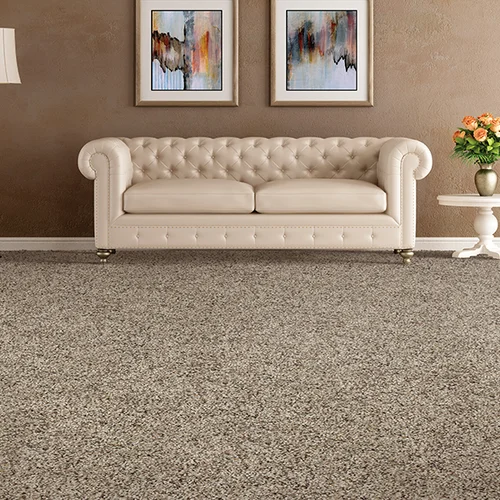 Valley Forge Rug Co. providing stain-resistant pet proof carpet in Bridgeport, PA
