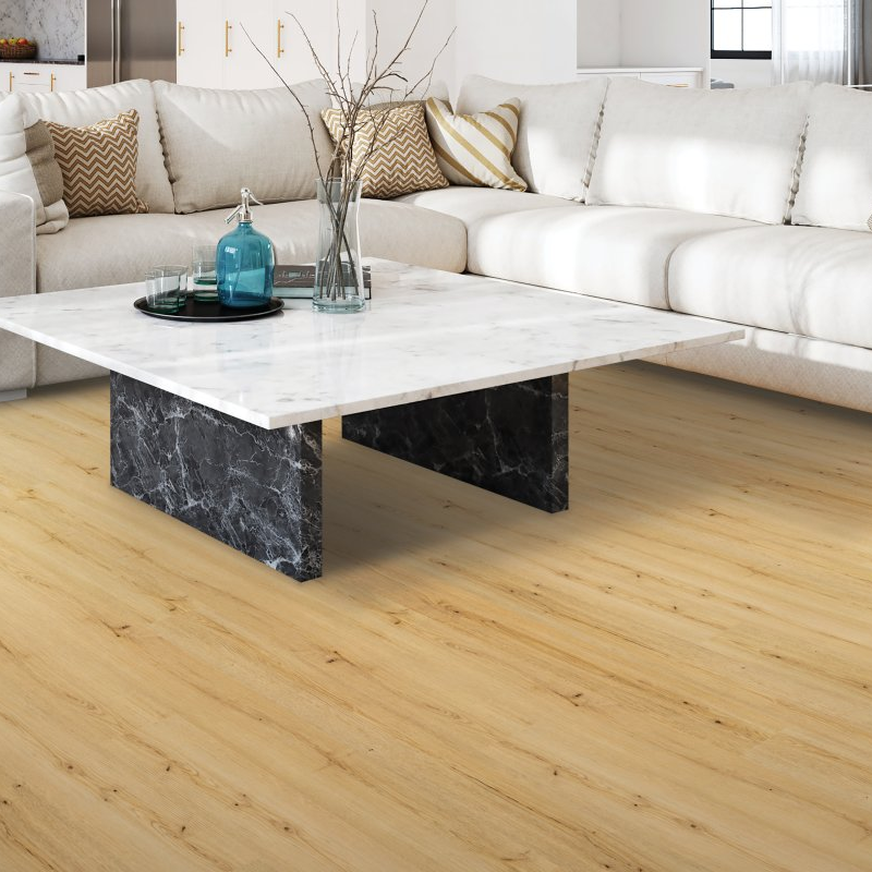 Valley Forge Rug Co. providing affordable luxury vinyl flooring in Bridgeport, PA - Saltgrass Springs- Amelia