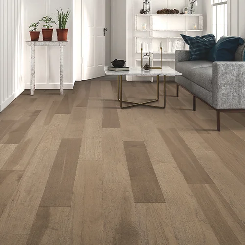 Valley Forge Rug Co. providing pet-friendly waterproof vinyl flooring in Bridgeport, PA